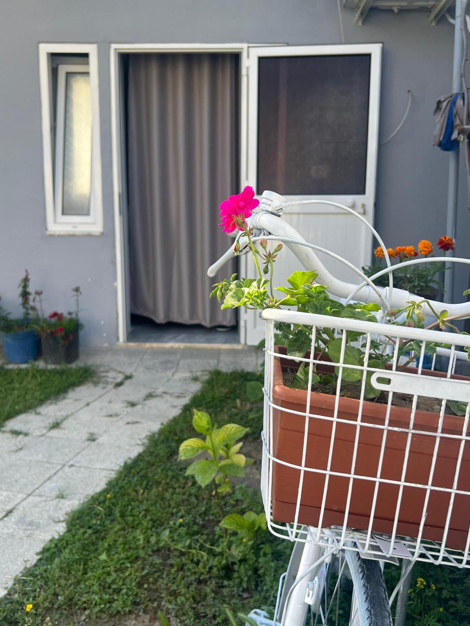 Happy Corner Guest House Shkodra Exterior foto